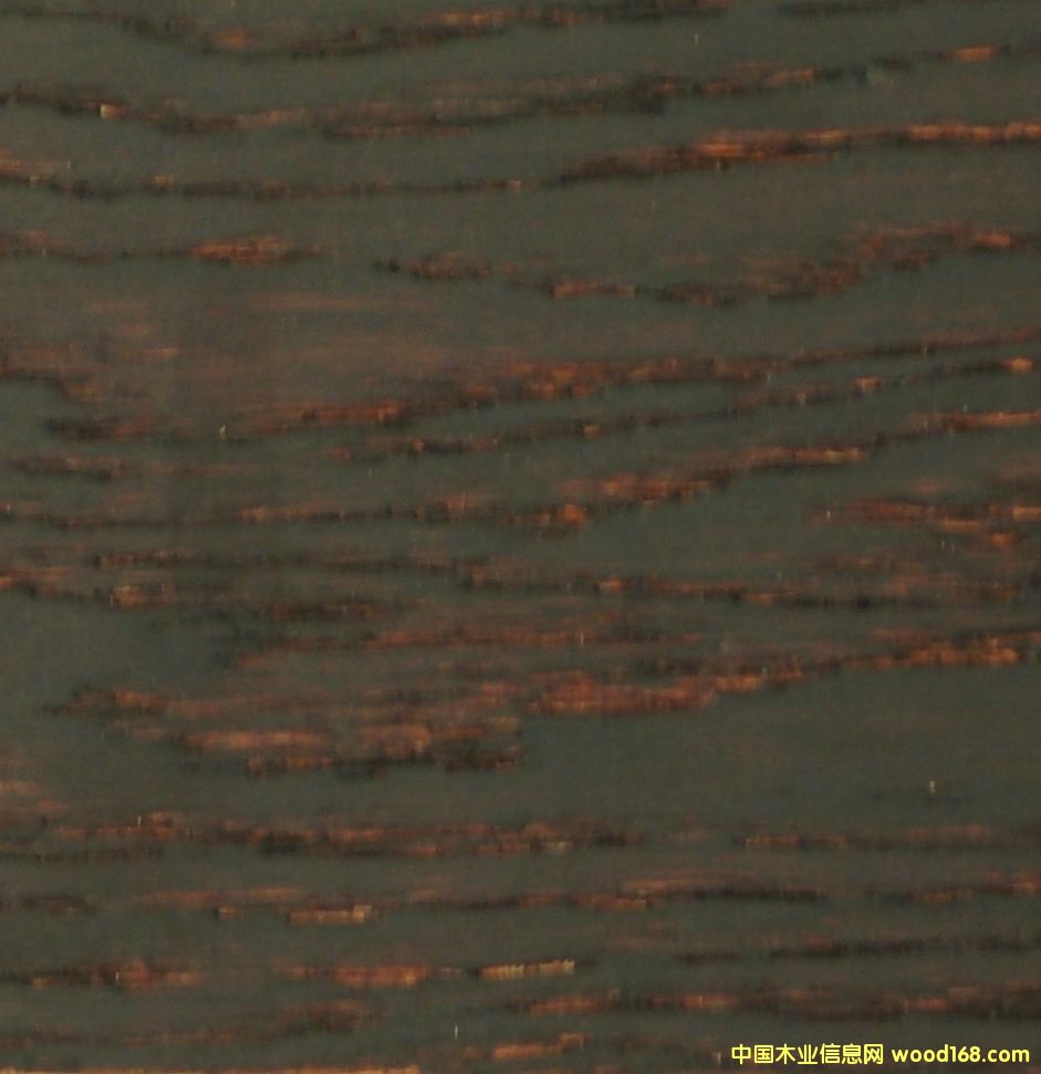 ȫ����ľ��Ԕ��(x��)��B