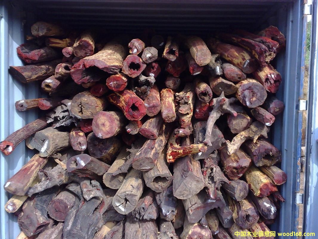 �Ჴ����̴