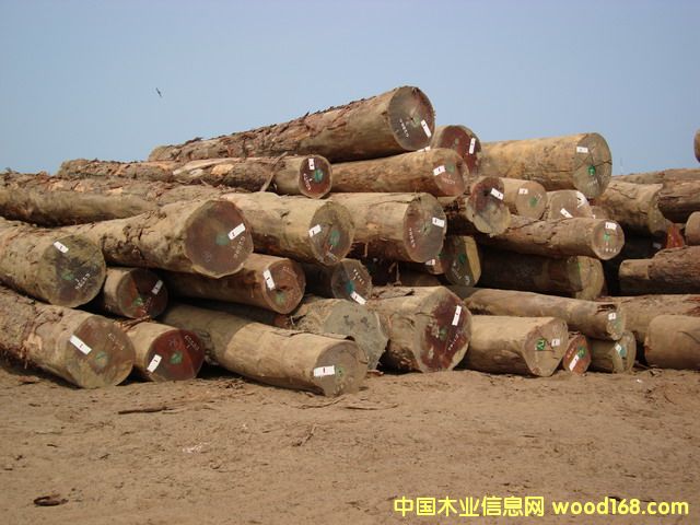 ԭľ�W��(OKAN)��Ԕ����B