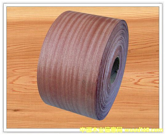 ɳ����ľƤ��߅�l��Ԕ����B