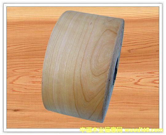 ����ľƤ��߅�l��Ԕ����B