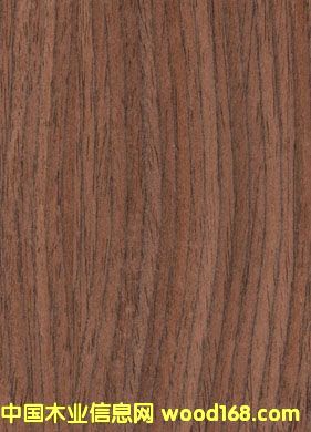 �ں���ľƤ��Ԕ����B