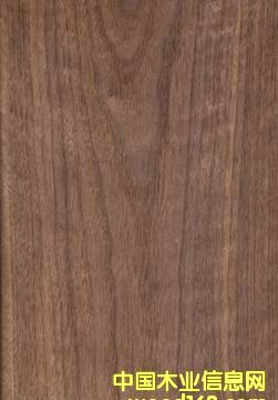 �ں���ľƤ��Ԕ����B