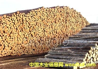 ��ľ��Ԕ��(x��)��B