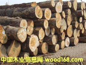 �����|����ľ��Ԕ��(x��)��B