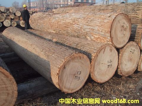 ��������(y��ng)�|��������Ԕ��(x��)��B