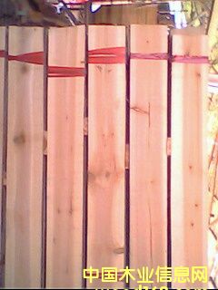 ��ĸ��Ԕ����B