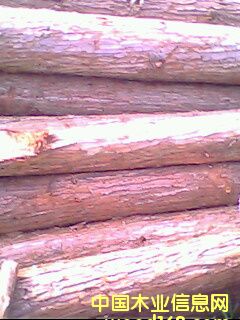 ɼԭľ��Ԕ����B