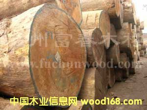 ���ް͵�ľ��Ԕ����B