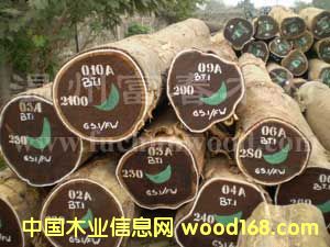 �����u��ľ��Ԕ����B