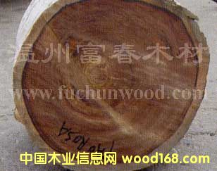 ���޴��~�t̴��Ԕ����B