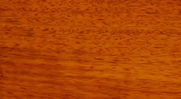 ���X���Ԕ��(x��)��B