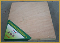 ��(x��)ľ�����Ԕ��(x��)��B