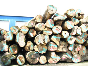 ������ľ(�Ҿ߼�(j��))��Ԕ��(x��)��B