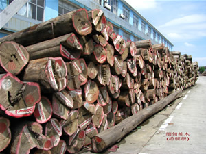 ������ľ(��ͧ��(j��))��Ԕ��(x��)��B