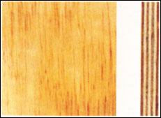 �� �����z�ذ��Ԕ��(x��)��B