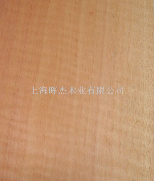 �tӰ ľƤ��Ԕ��(x��)��B