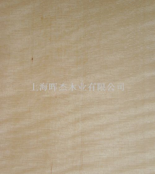 ��ӰľƤ��Ԕ��(x��)��B