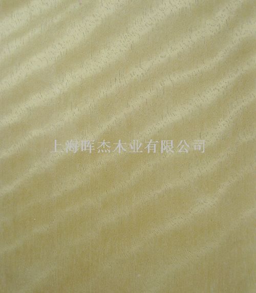 ��Ӱ ľƤ��Ԕ��(x��)��B