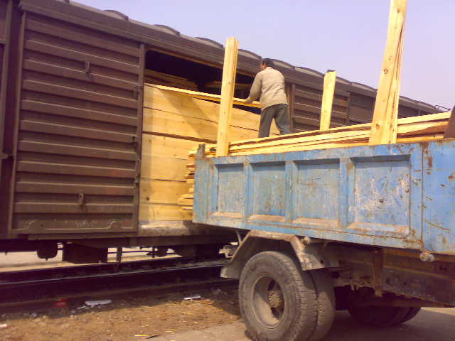 �����ɰ��