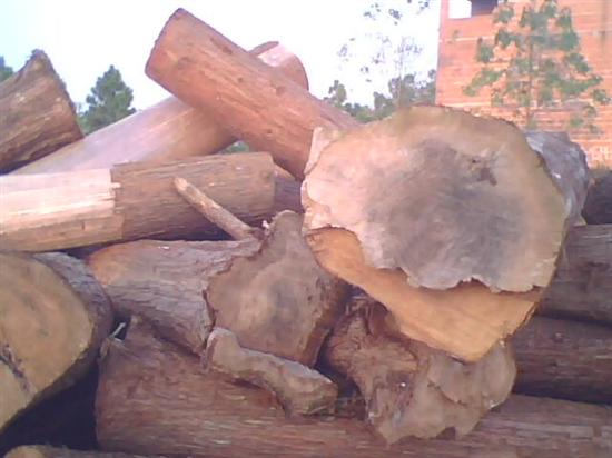 ľ�^��Ԕ��(x��)��B