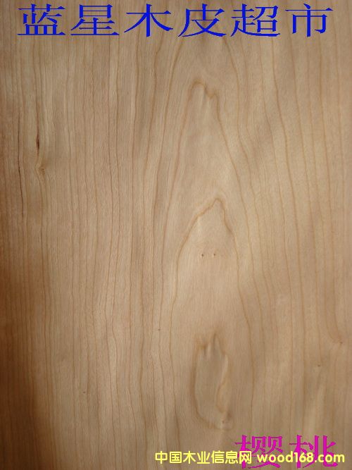 ����ľ��Ԕ��(x��)��B