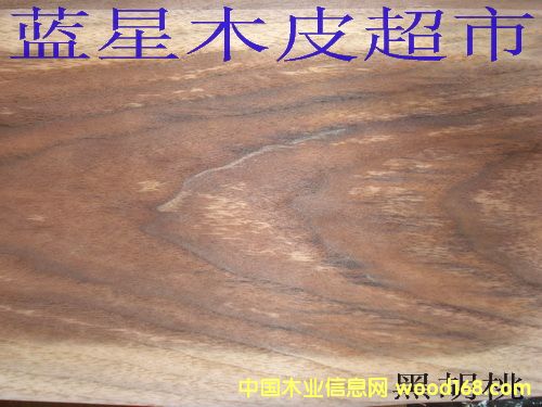 �ں���ľƤ��Ԕ��(x��)��B