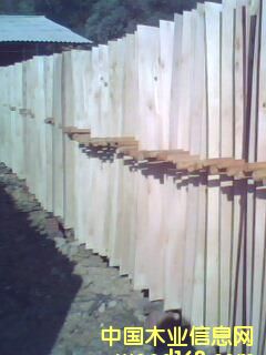 ��ľԭ���Ԕ��(x��)��B