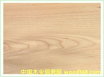 ľƤ��Ԕ��(x��)��B