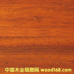 �A�P(p��n)����Ԕ��(x��)��B