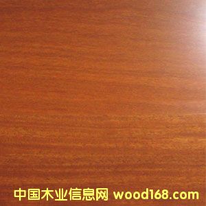 ���ᶹ��Ԕ��(x��)��B