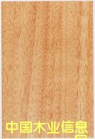 ľƤ��Ԕ��(x��)��B