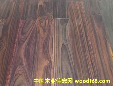 palissander��Ԕ��(x��)��B