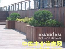 �̈́�ľ�ذ�r(ji��)���Ԕ��(x��)��B