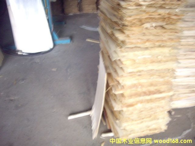 ���l�O(sh��)���Ԕ��(x��)��B