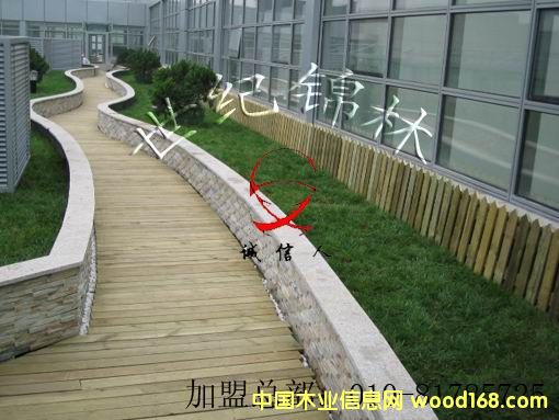 ���л��@-ľ����