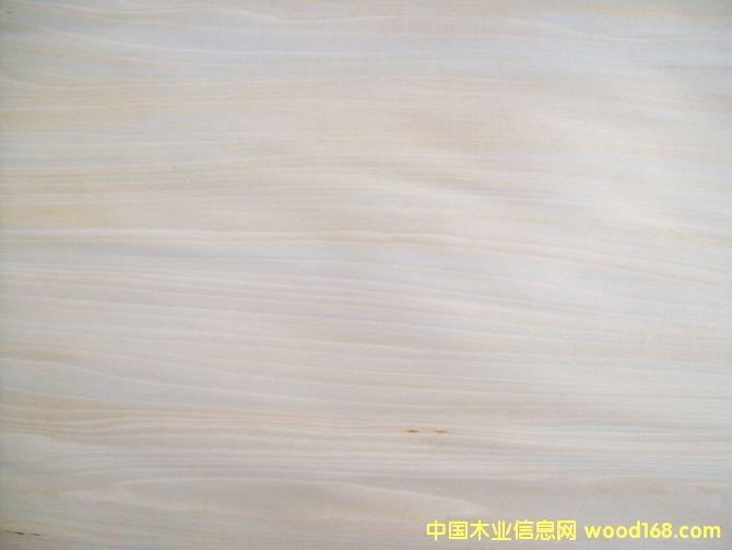 �ľ��Ƥ�����棲��Ԕ��(x��)��B