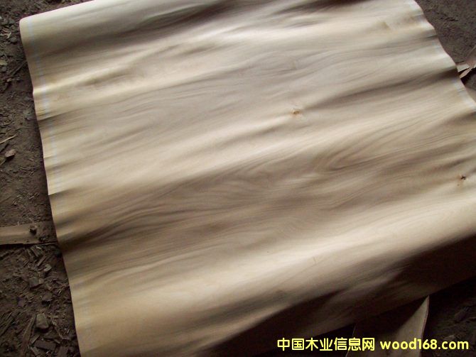 ����о���