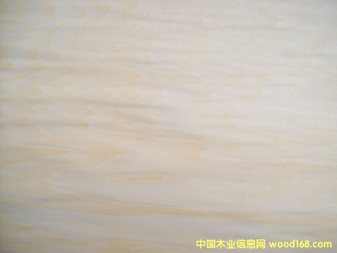 �ľ��Ƥ�������Ԕ��(x��)��B