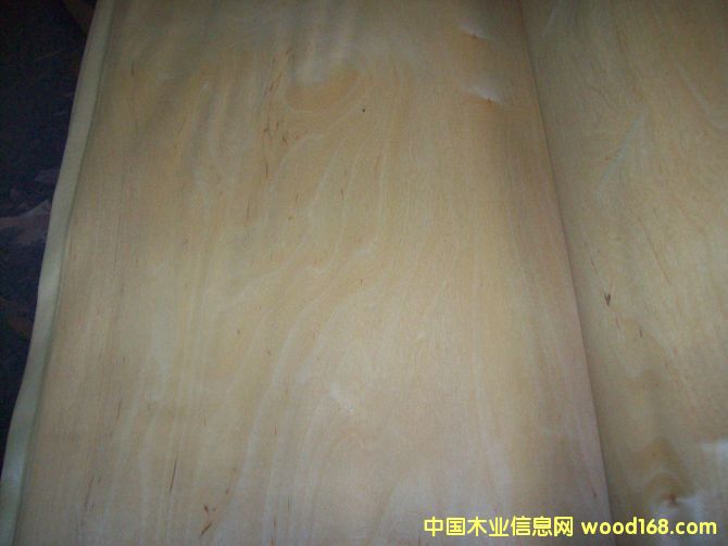 �ט���ƤC��Ԕ��(x��)��B