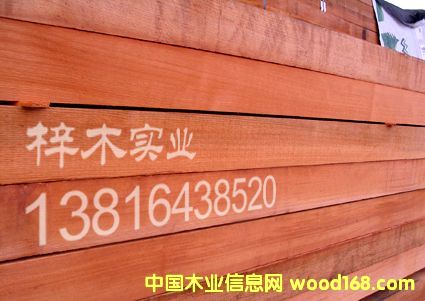 �tѩ��(�o��(ji��)�̣���Ԕ����B