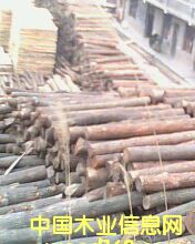 ��ľ��Ԕ��(x��)��B