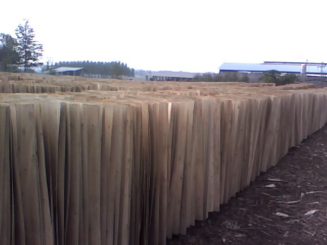 ��ľ�ΰ��Ԕ����B