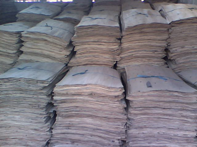 ��ľ�ΰ��Ԕ����B