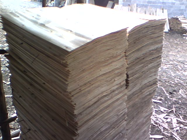 ��ľ�ΰ��Ԕ����B