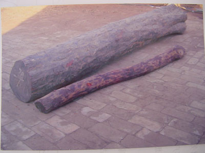 �ϼtľ�����~��̴ľ����Ԕ��(x��)��B