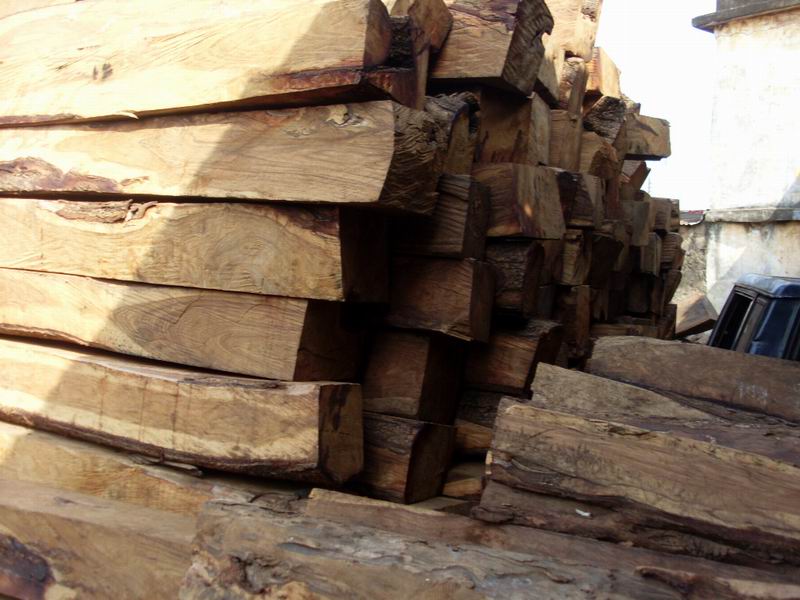 �L�ڬF(xi��n)؛�������ށ����棨KOSSO���ذ���Іΰ�/����/����Ԕ����B