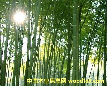 �Ĵ������Ԕ��(x��)��B