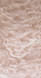 ��������Ԕ��(x��)��B