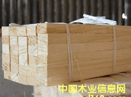 �ľ�ٹ���Ԕ����B